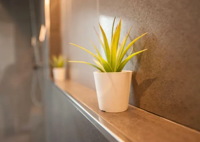 Apartment Artist Terrace